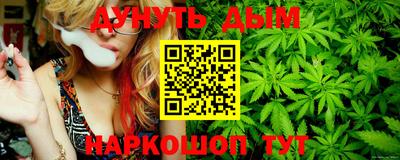 гидропоника Будённовск