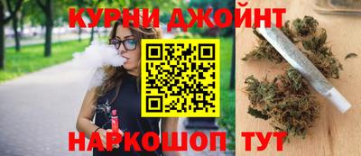 гидропоника Будённовск