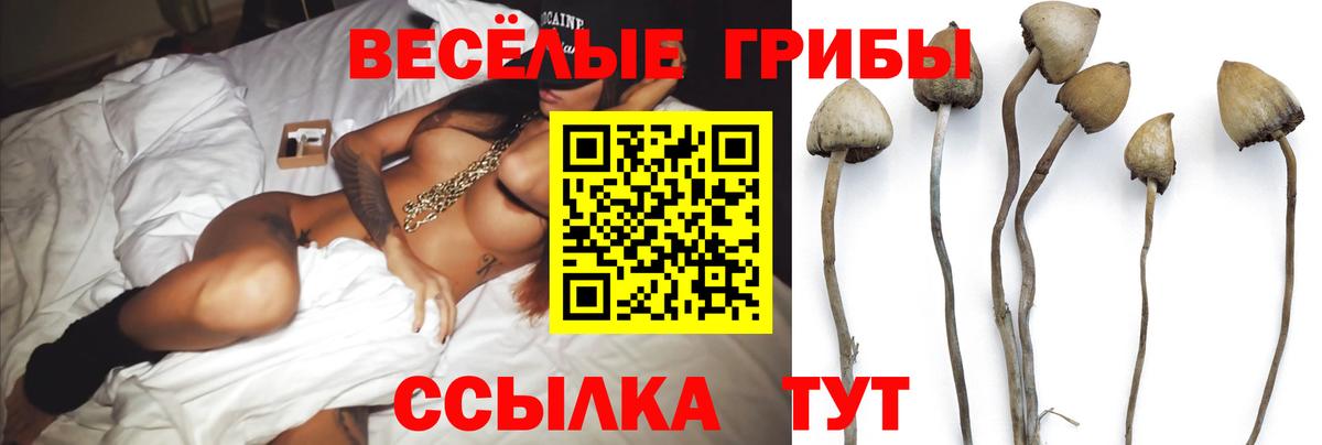 Псилоцибиновые грибы прущие грибы Родники